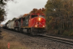 CN 5618